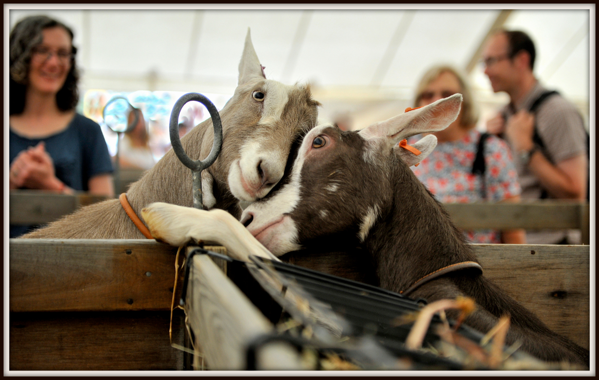 Missing You Already - Dave Edwards